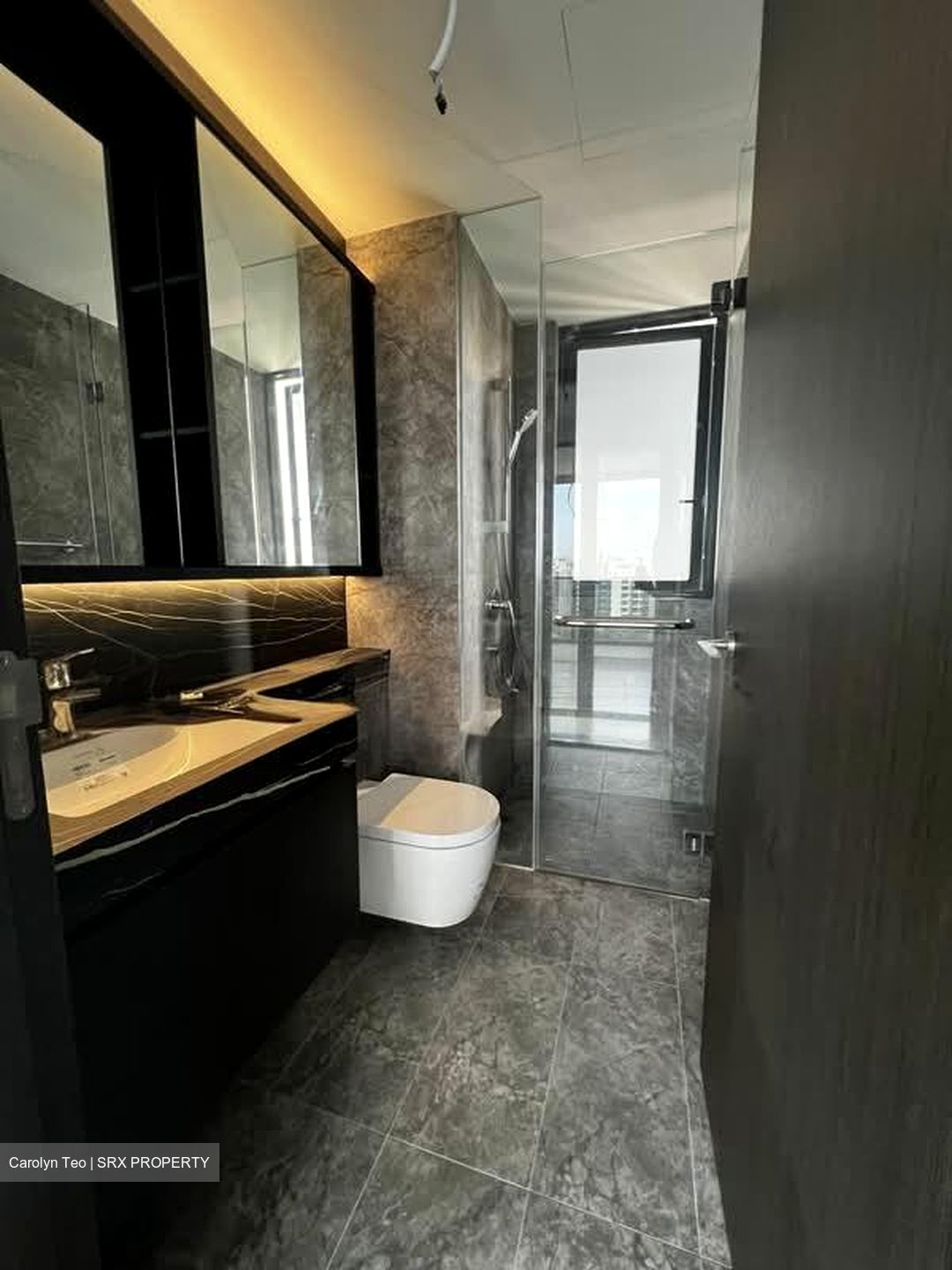Hyll On Holland (D10), Condominium #583326551